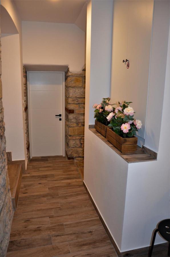 Istrabella Apartment 科佩尔 外观 照片