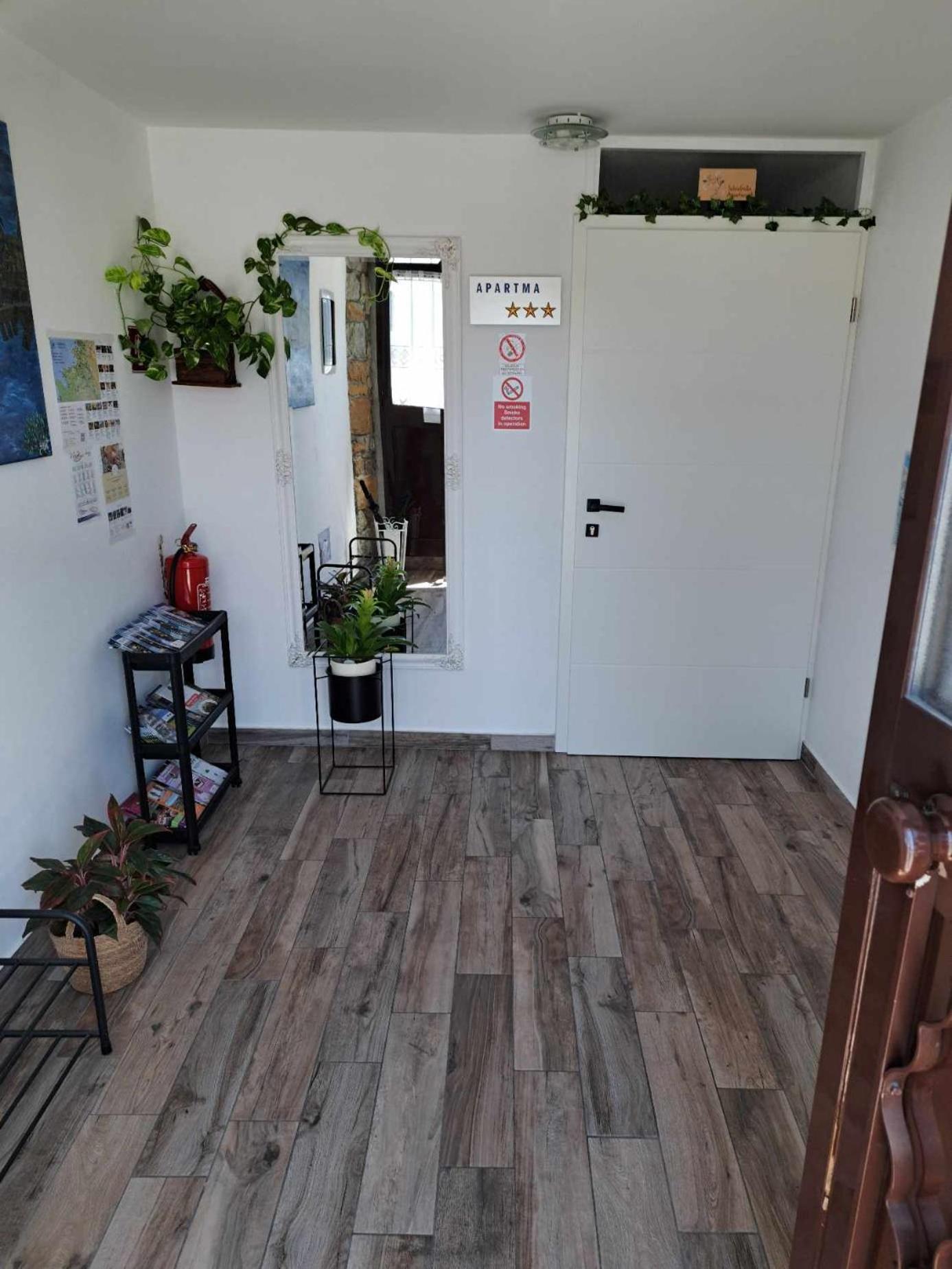 Istrabella Apartment 科佩尔 外观 照片