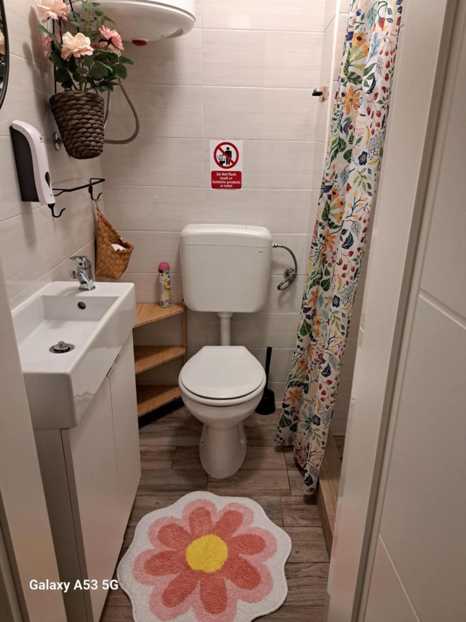 Istrabella Apartment 科佩尔 外观 照片